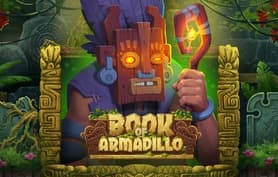 Book of Armadillo - Slot matrix